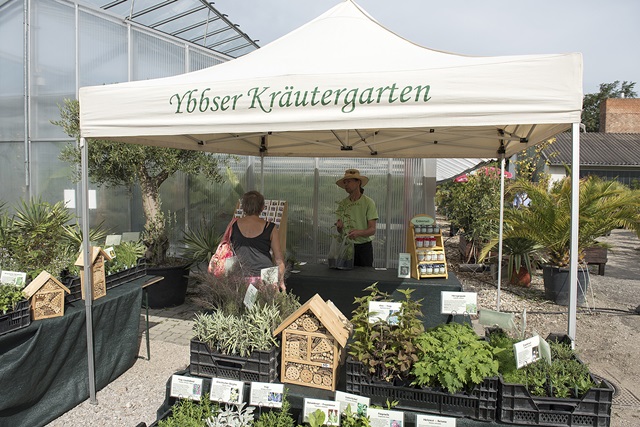 Ybbser Kräutergarten