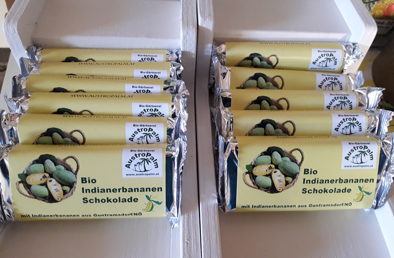 Indianerbananen-Schokolade 70g *BIO